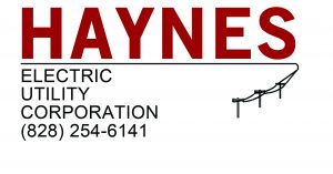 Logo_Electric_300