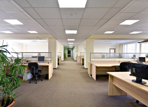 Lighting Tips for Work Productivity