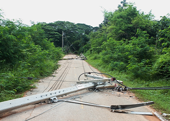 Down Power Line Safety: What to Do If You Come Across One