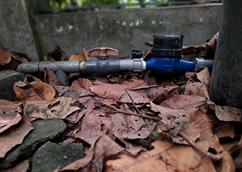 Fall Home Maintenance Guide for Plumbing