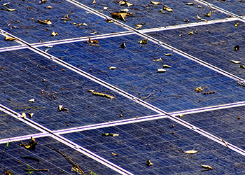 Fall Home Maintenance Guide for Your Solar System